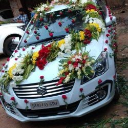 whatsapp image 2025 08 13 at 8.37.10 am (1)